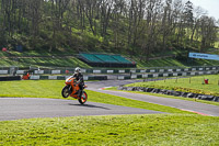 Middle Group Orange Bikes